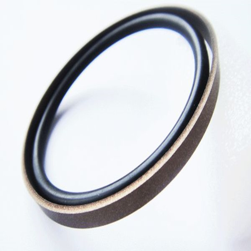 【VOITH】格来圈R09-F150×161×4.2DG111121130