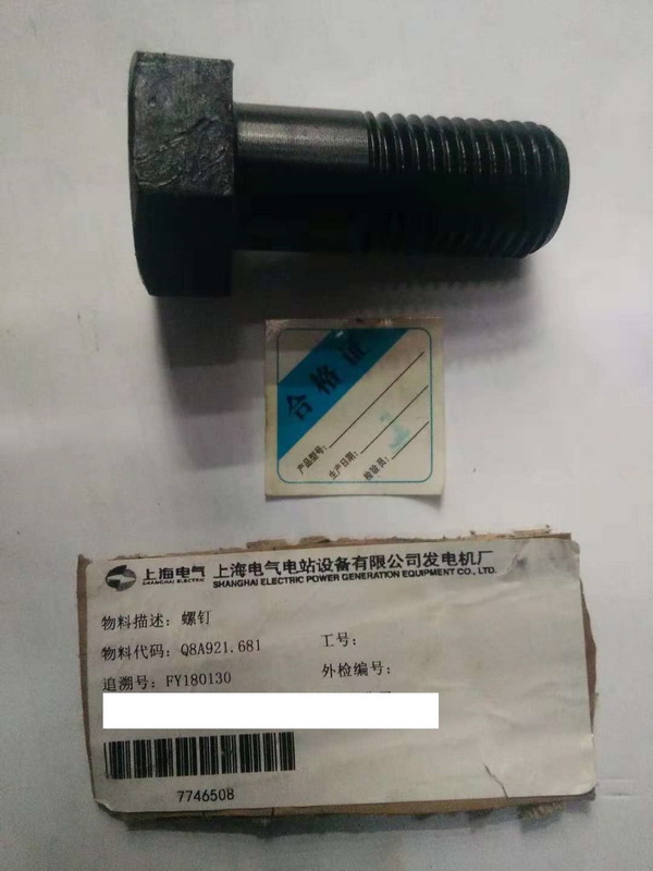 【上海电气发电机】螺钉Q8A921.681