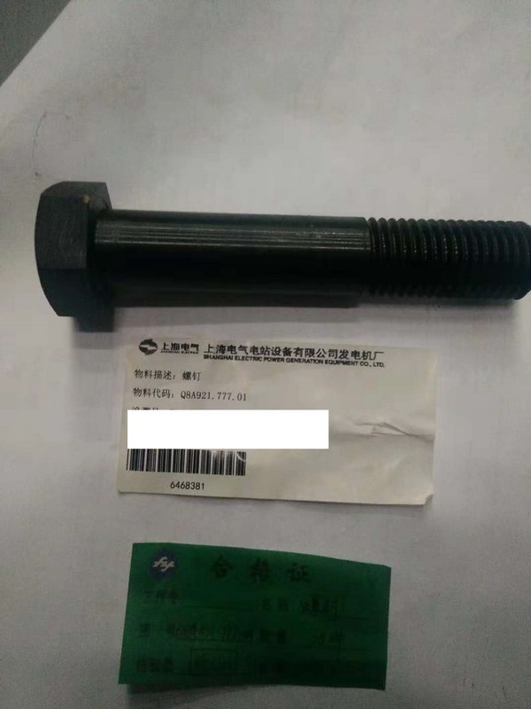 【上海电气发电机】螺钉Q8A921.777.01