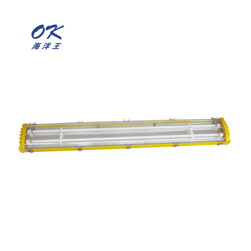 【海洋王】标准防爆荧光灯成品BYC8340（2*21W）(标准配置）#GN2*21W,标准配置