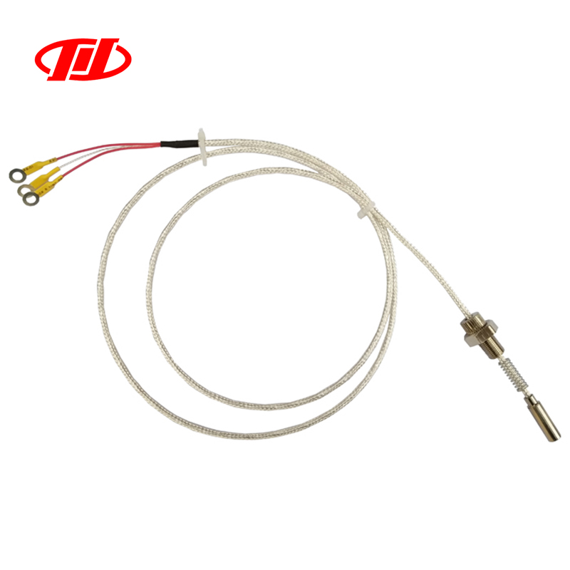 【重庆川仪】热电阻WZP2M-201双支L=38mmφ5M10×1dllBT4