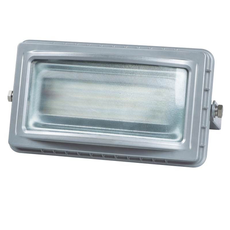 【华荣】固定式LED灯具RLERT006AC220V30W壁装式
