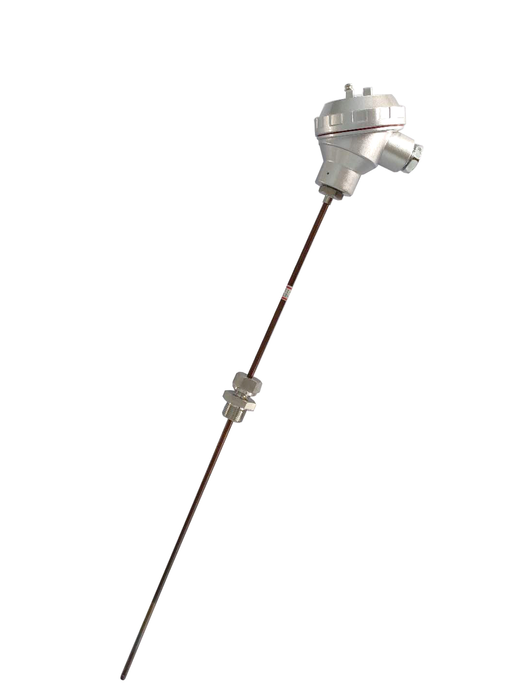 【江苏红光】热电阻WZP02-336双支550mmφ6mm活动卡套 NPT1/2