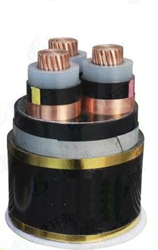 【航天瑞奇】交联电力电缆C-YJV22-6/6kV3x300mm2