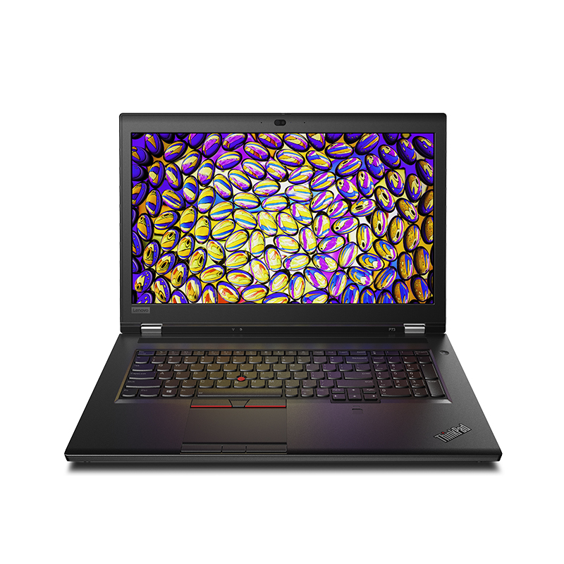【联想】移动图形工作站/ThinkPad P73/i7/16G/固态512G/独显T1000/17.3英寸显示器/Windows 10 Pro专业版/3年原厂质保