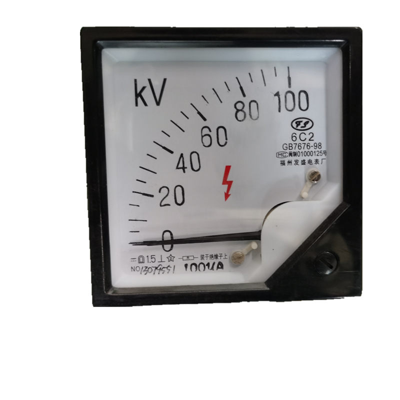 【龙净环保】电压表6C2-A-100µA�-100kV1.5级